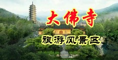 美女被大鸡巴干的视频中国浙江-新昌大佛寺旅游风景区
